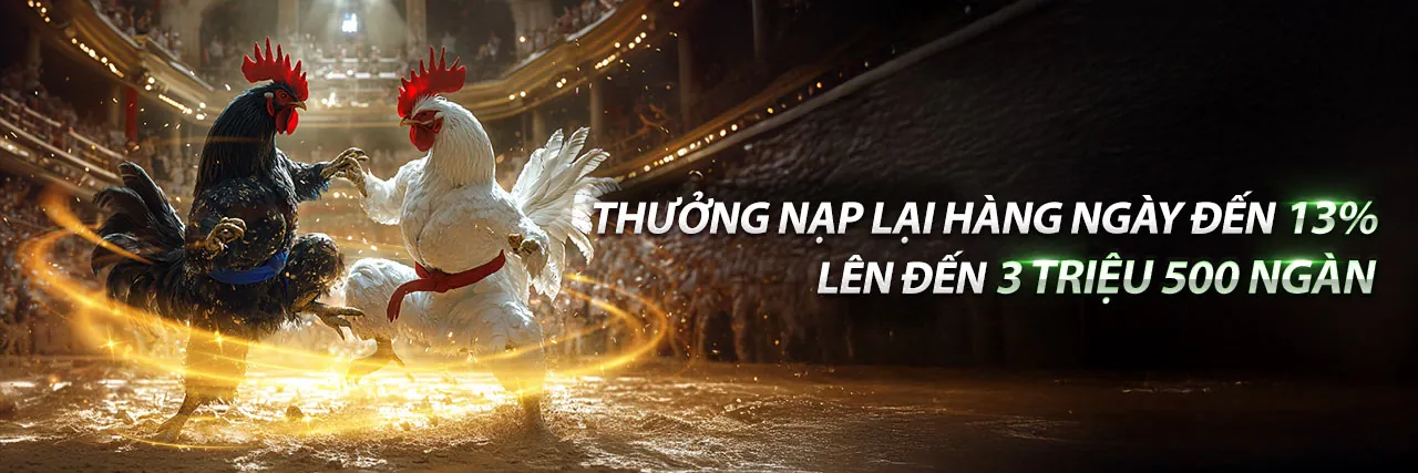 Đá gà trực tuyến Jetwin Trang Chủ Chính Thức